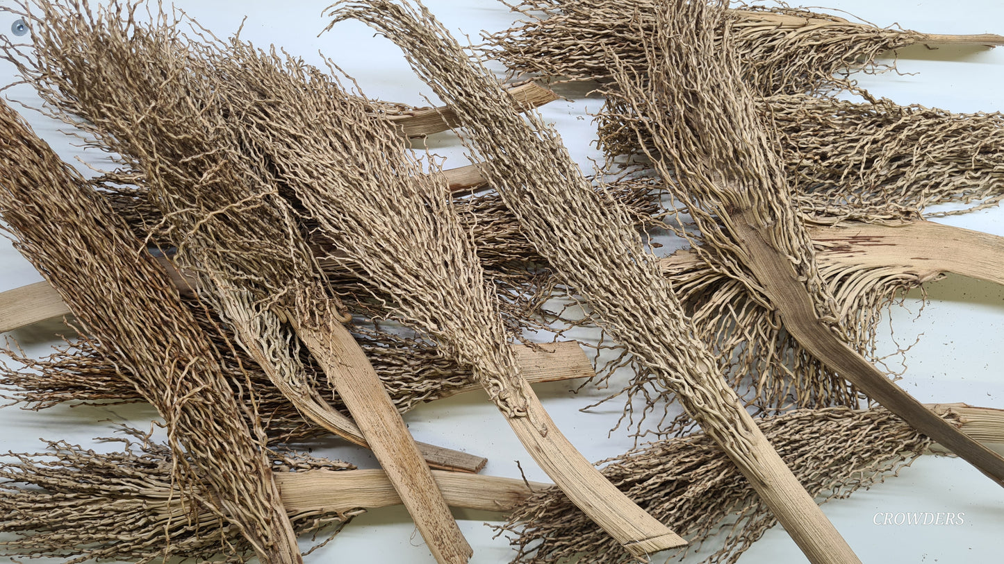 PALM BRUSH