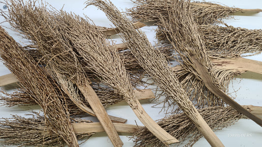 PALM BRUSH