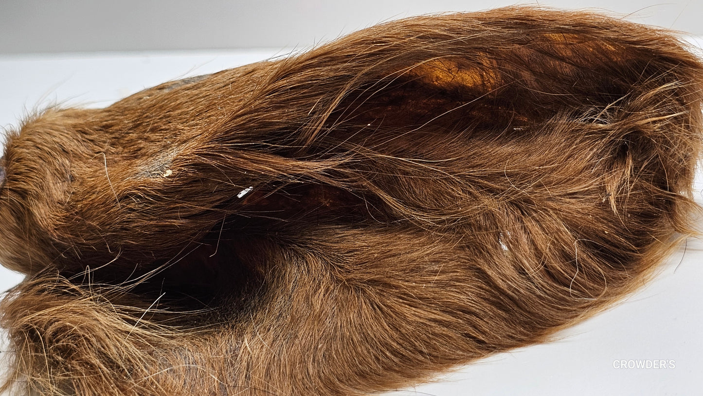 HAIRY COW EAR