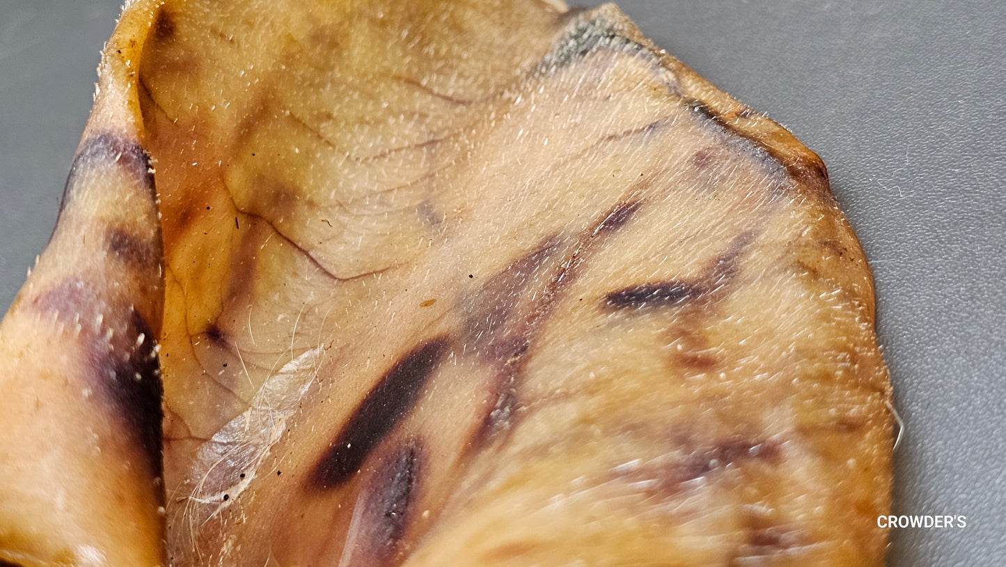 PIGS EAR