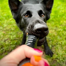 Extreme Tough Baton