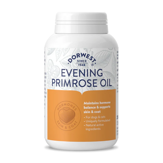 Evening Primrose Oil Capsules For Dogs And Cats