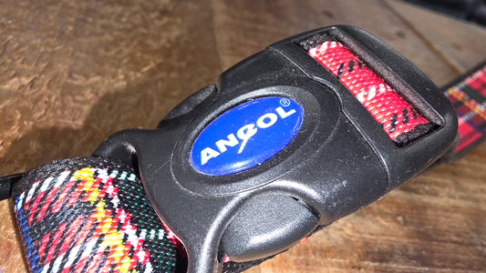 ANCOL TARTAN dog collar 45-70cm. ( CLEARANCE )