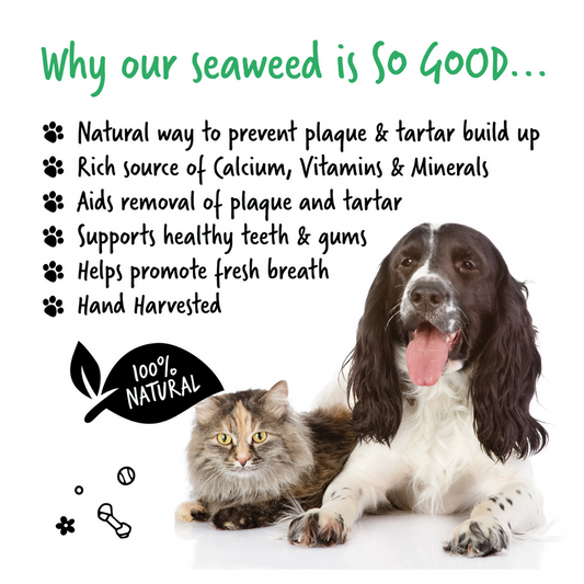 Bugalugs 100% Natural Plaque Remover for Dogs & Cats (70g)