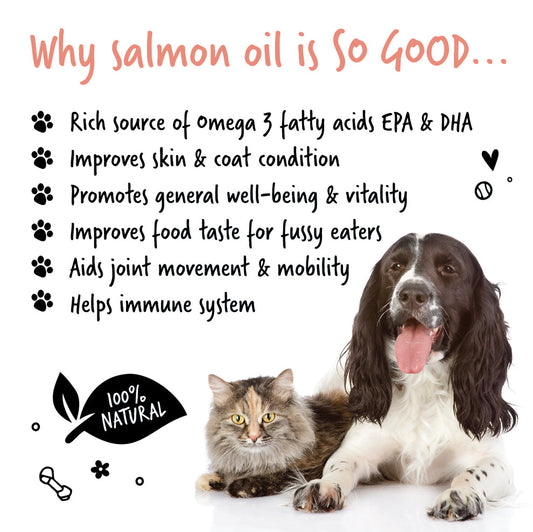 Bugalugs Scottish Salmon Oil for Dogs & Cats 500ml