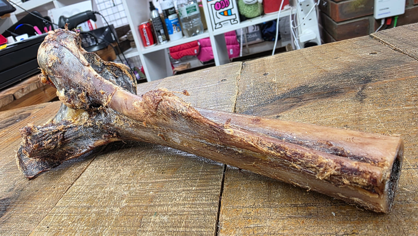 OSTRICH BONE