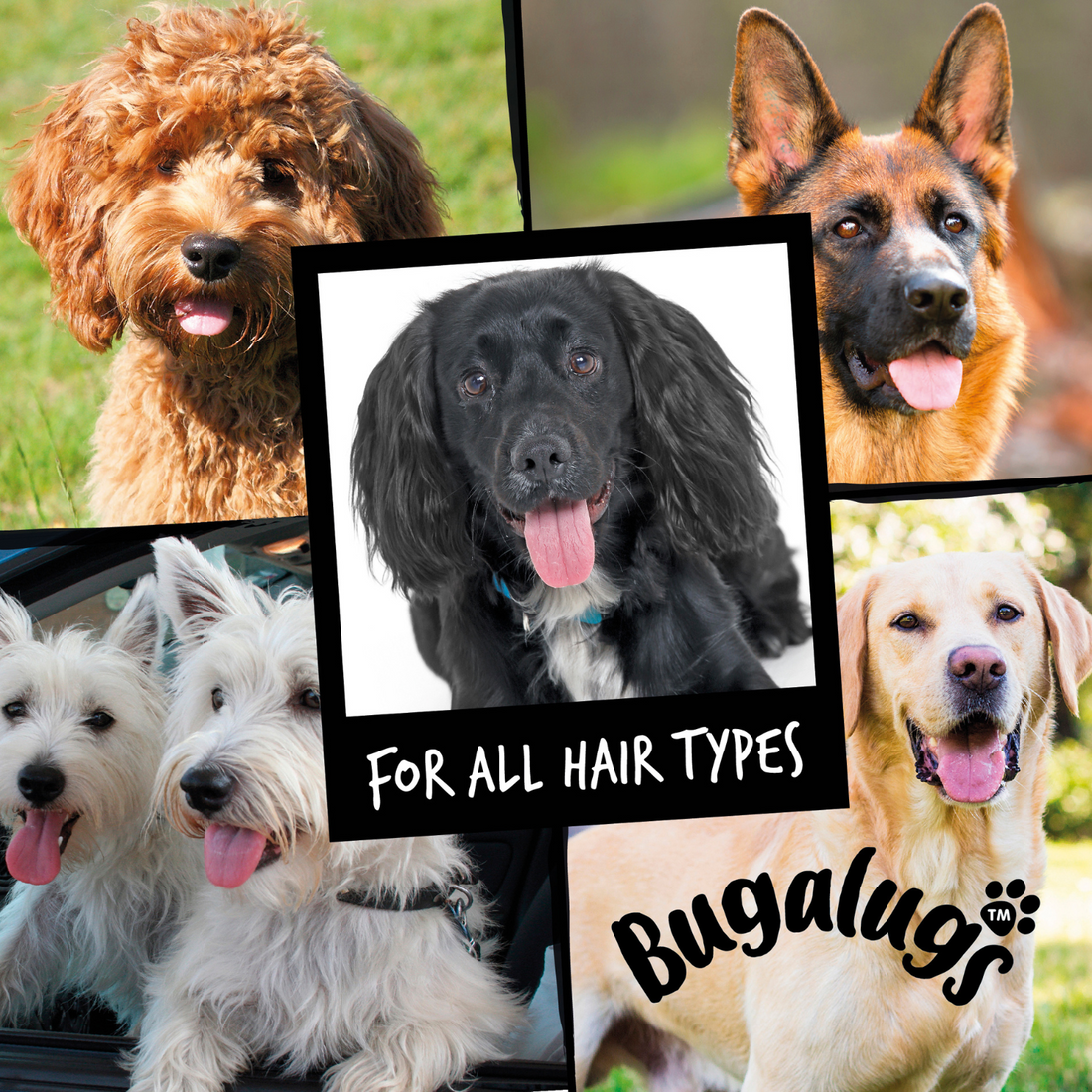 Bugalugs Baby Fresh Detangling Spray for Dogs 200ml