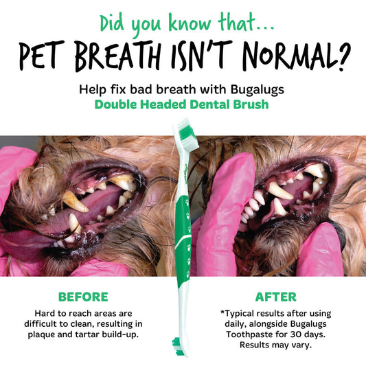 Bugalugs Pack of 2 Double Ended Dental Care Toothbrushes for Dogs & Cats