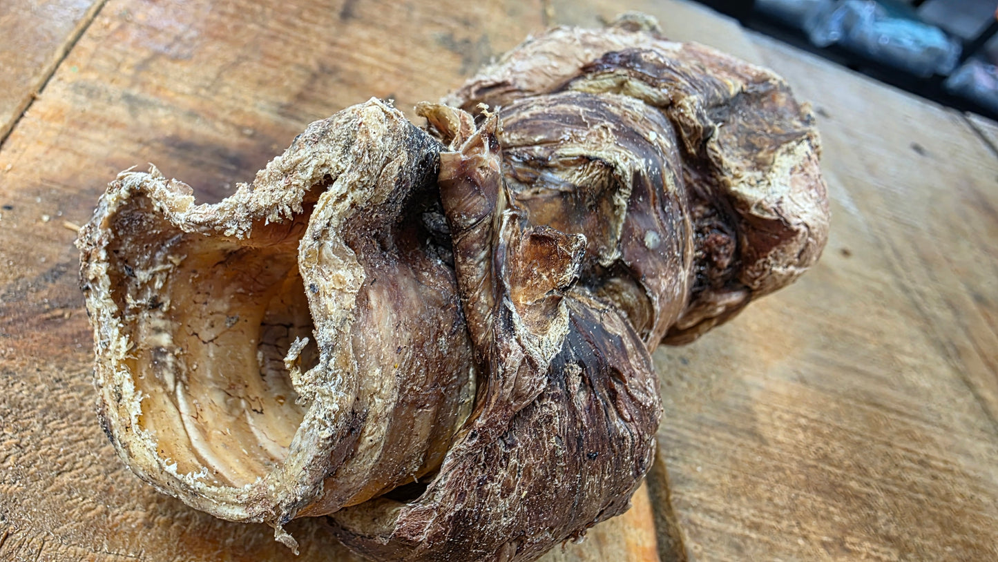 BUFFALO TRACHEA WRAPPED IN LUNG