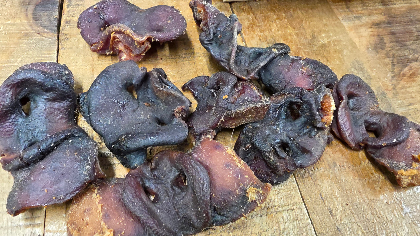 PIG SNOUT