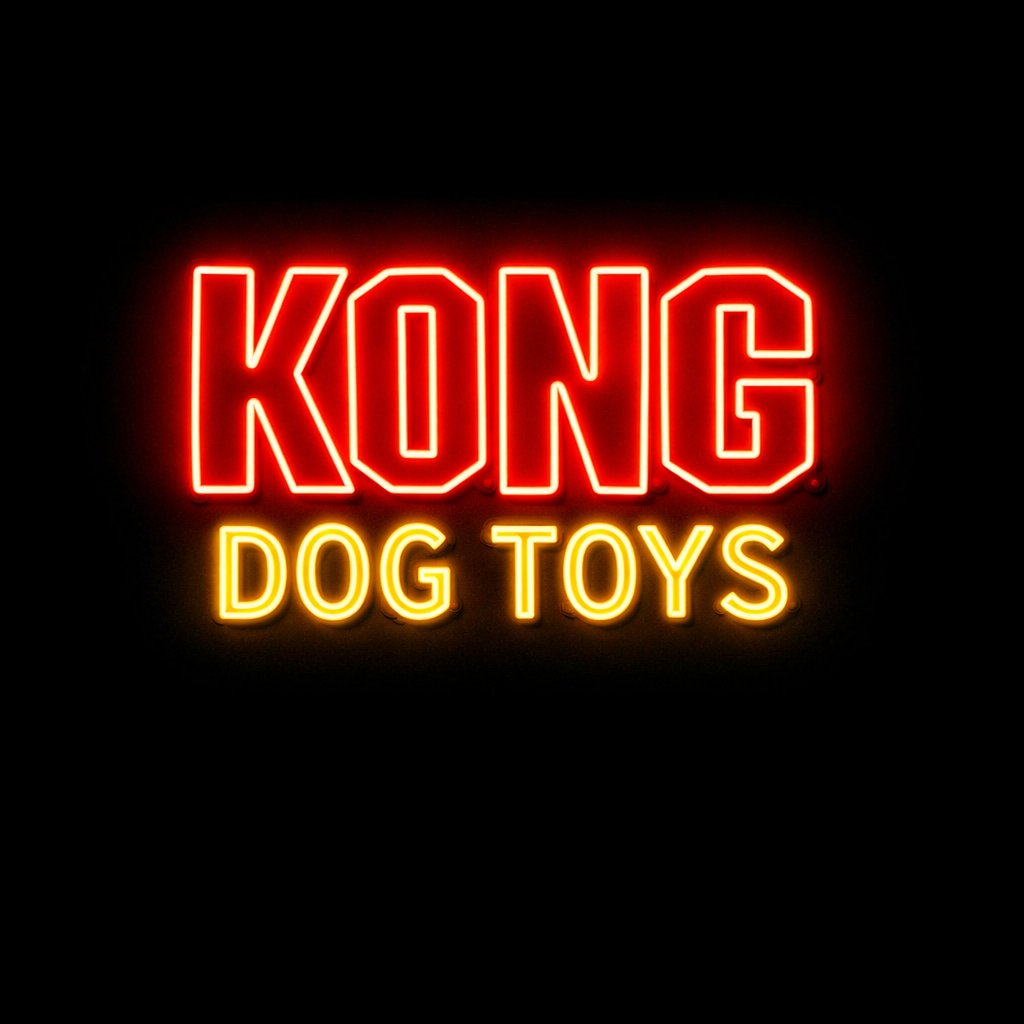 KONG DOG TOYS