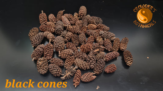 BLACK ALDER CONES 70g ( Alnus glutinosa )