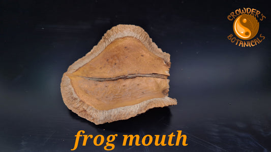 FROG MOUTH   ( Jacaranda Pod )