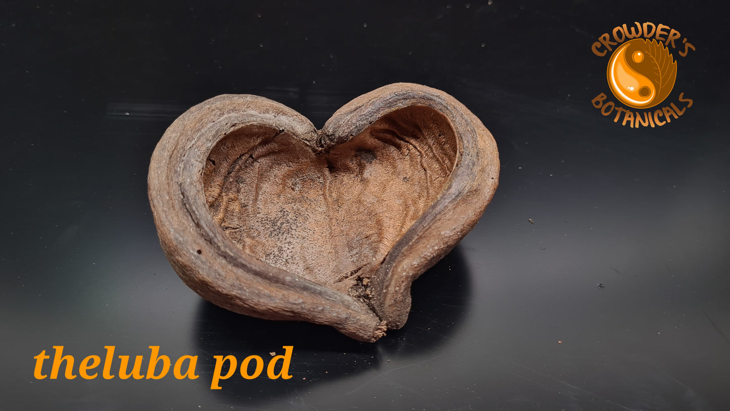 THELAMBU POD 
(Sterculia Pods )