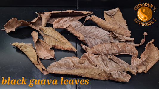 BLACK GUAVA LEAVES ( Psidium guajava )