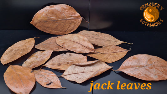 JACK LEAVES    (Artocarpus heterophyllus)