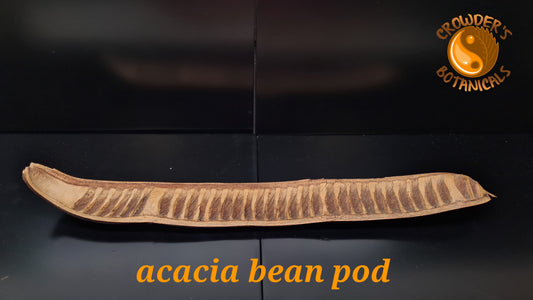 ACACIA BEAN PODS ( Delonix pod )