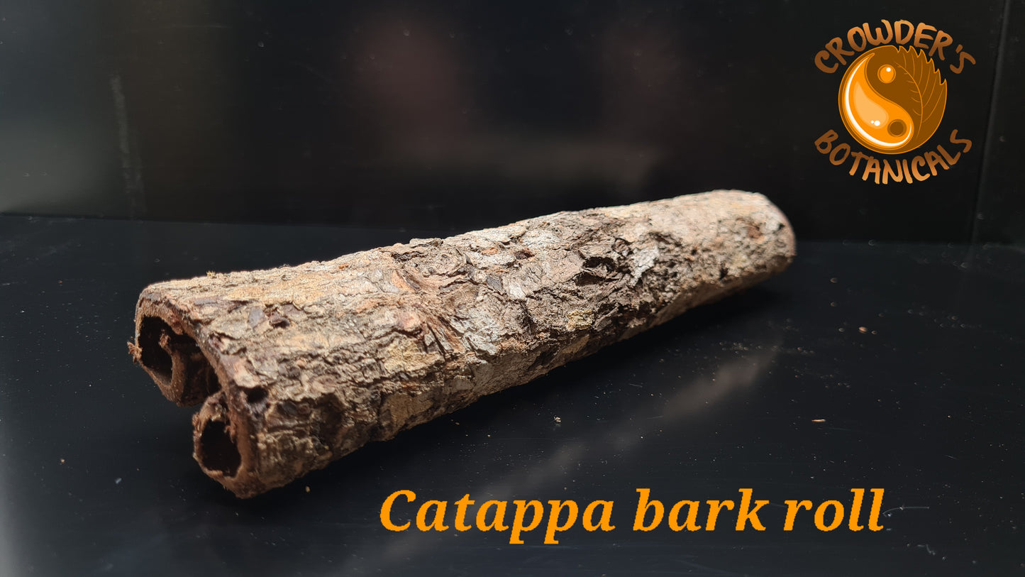 CATAPPA BARK ROLLS ( Terminalia catappa )