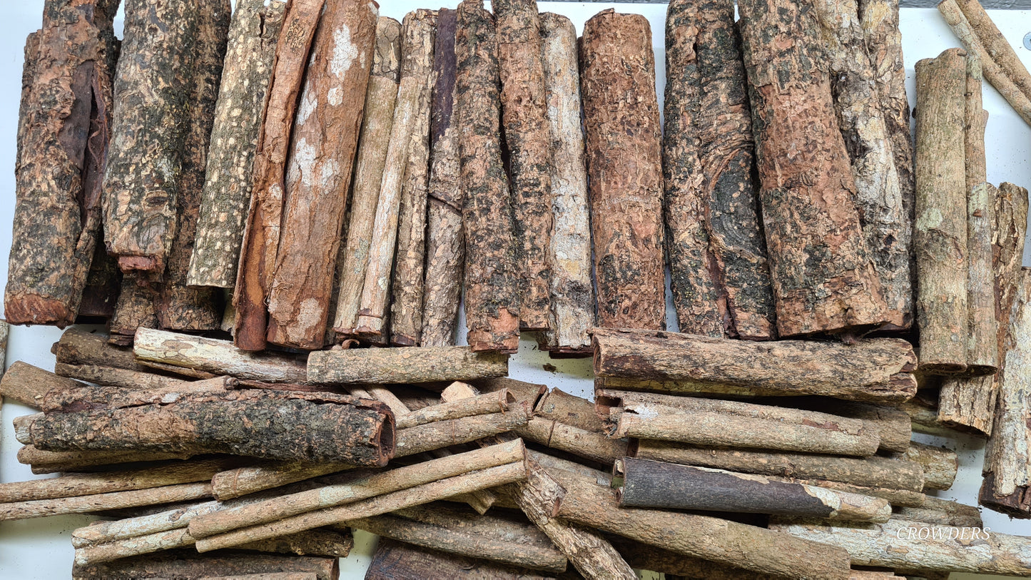 CATAPPA BARK ROLLS ( Terminalia catappa )