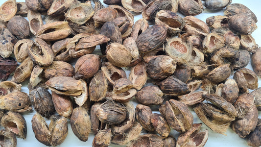 ARICANUT PODS/BETEL NUT POD                    (Areca pericarp )