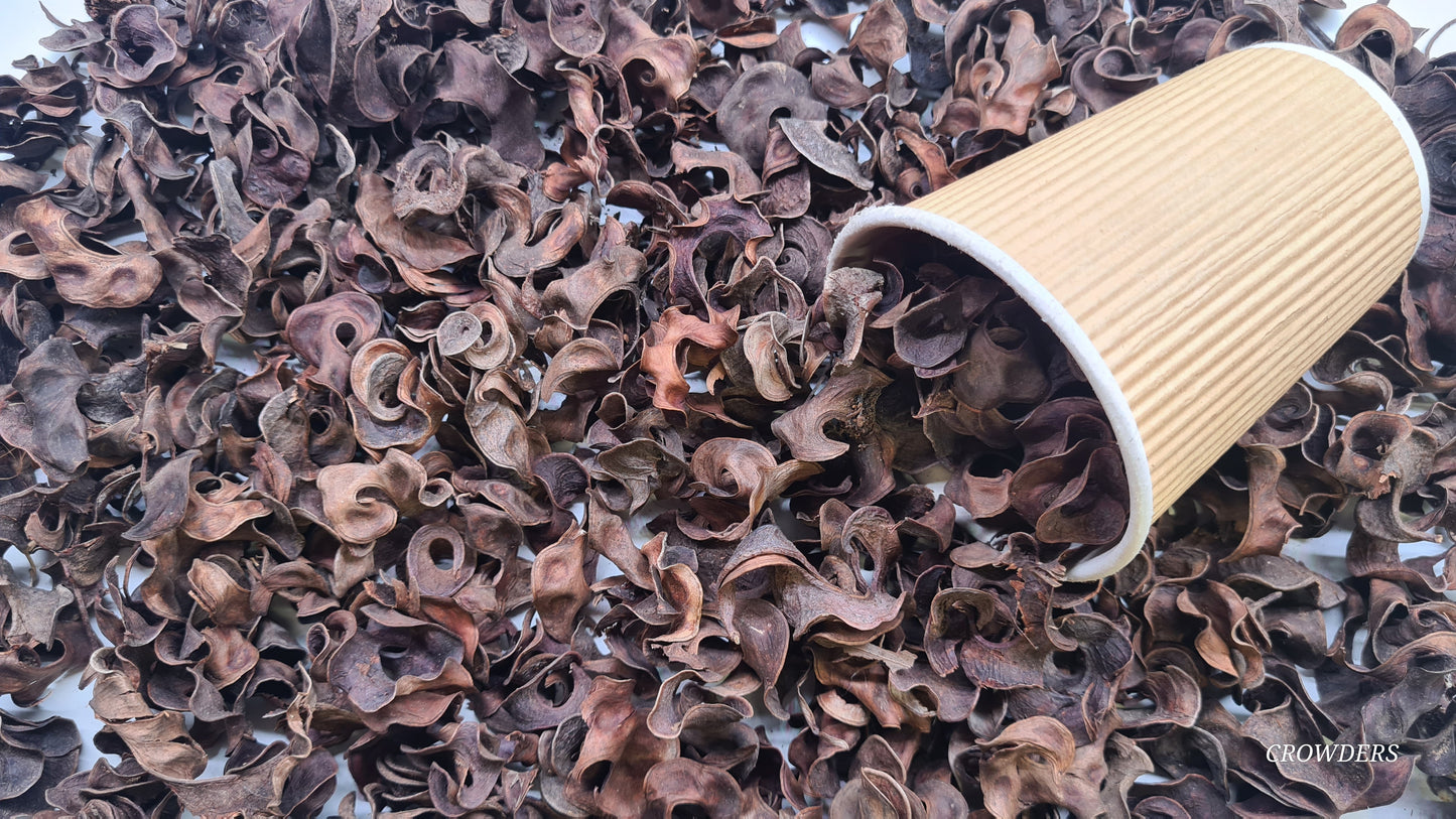 BLACK CURLS 30g             ( Earleaf Acacia )