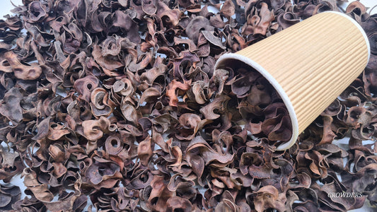 BLACK CURLS 30g             ( Earleaf Acacia )