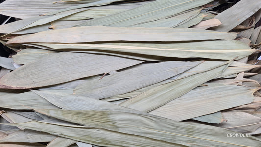 BAMBOO LEAVES