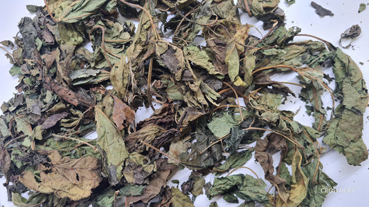 MULBERRY LEAVES ( Morus alba ) 20G BAG