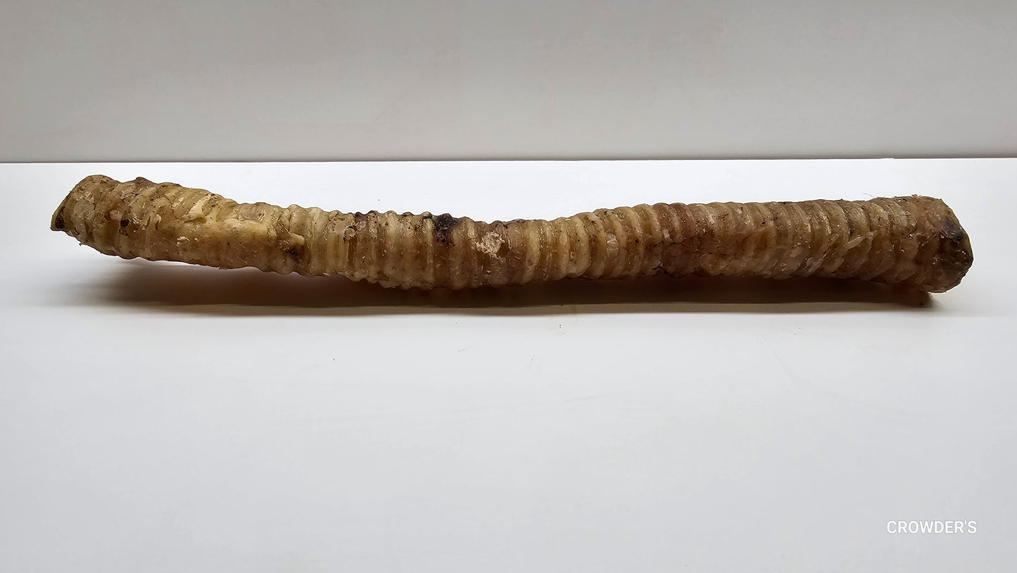 LONG BEEF TRACHEA