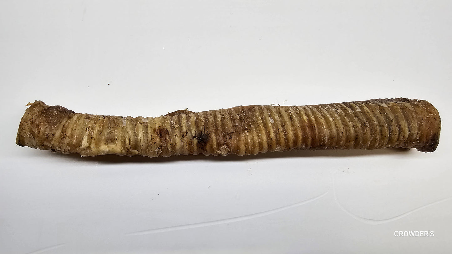 LONG BEEF TRACHEA