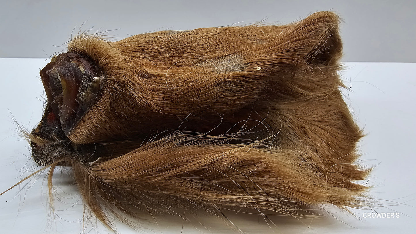 HAIRY COW EAR