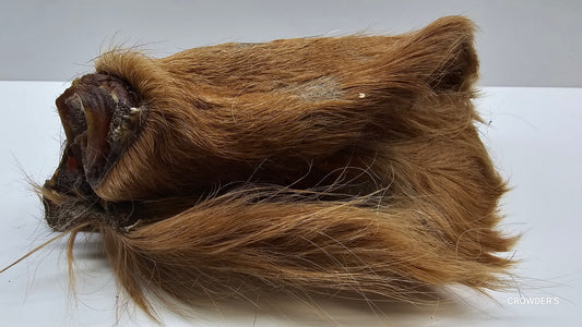 HAIRY COW EAR