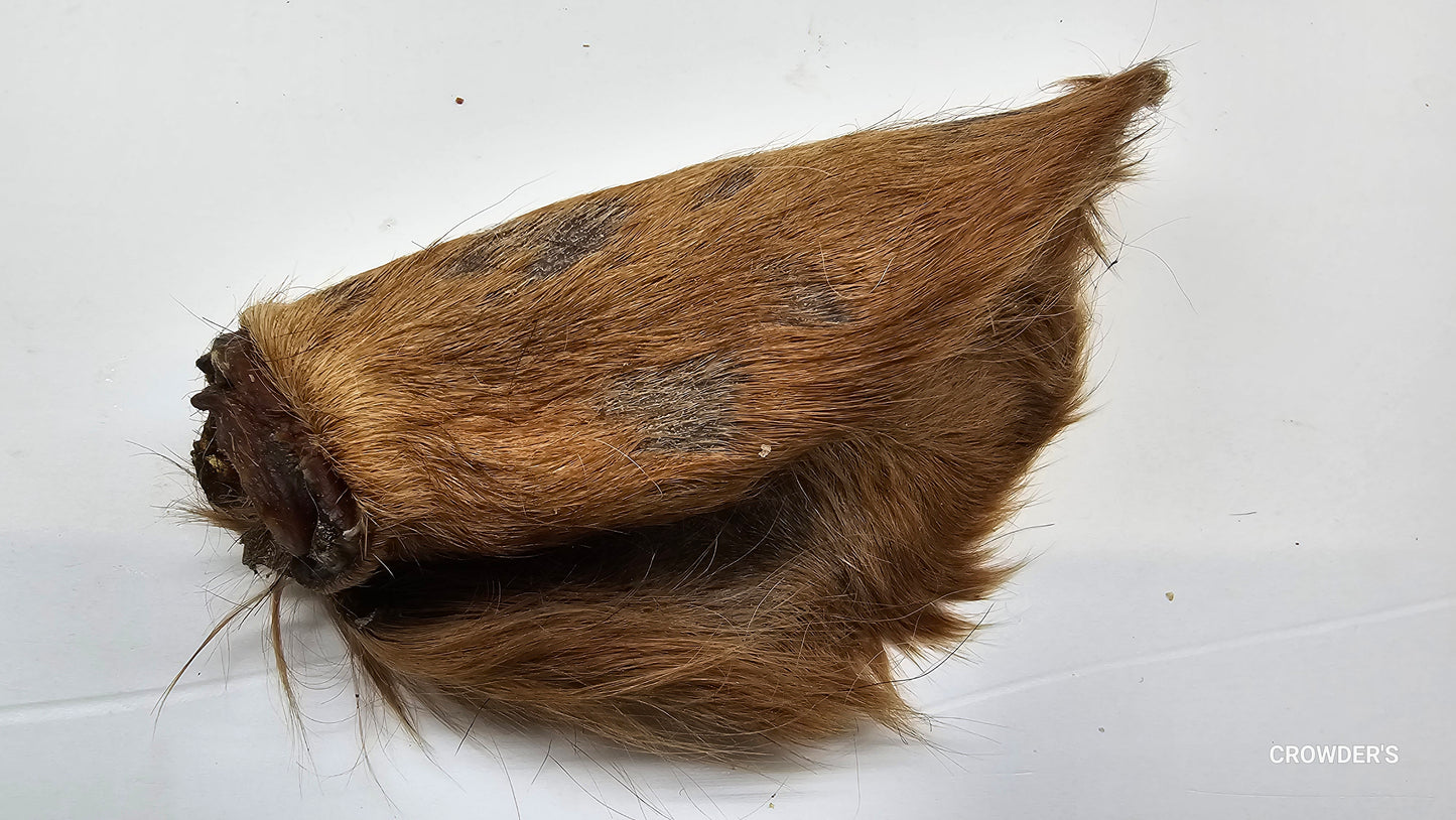 HAIRY COW EAR
