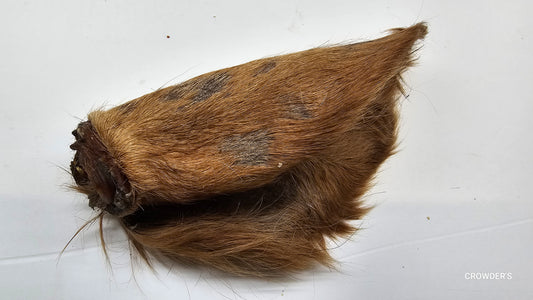 HAIRY COW EAR