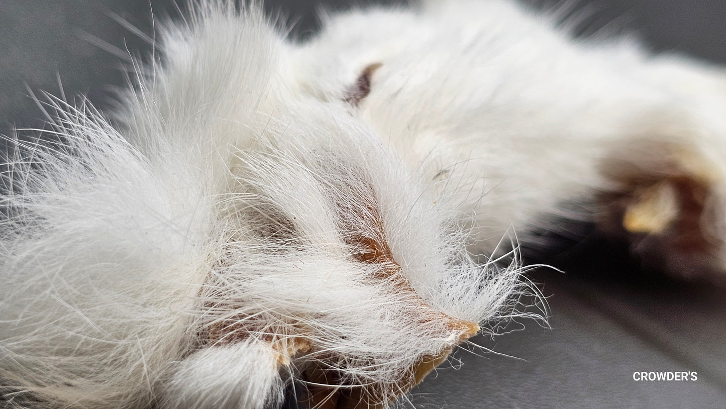 HAIRY RABBIT EARS
