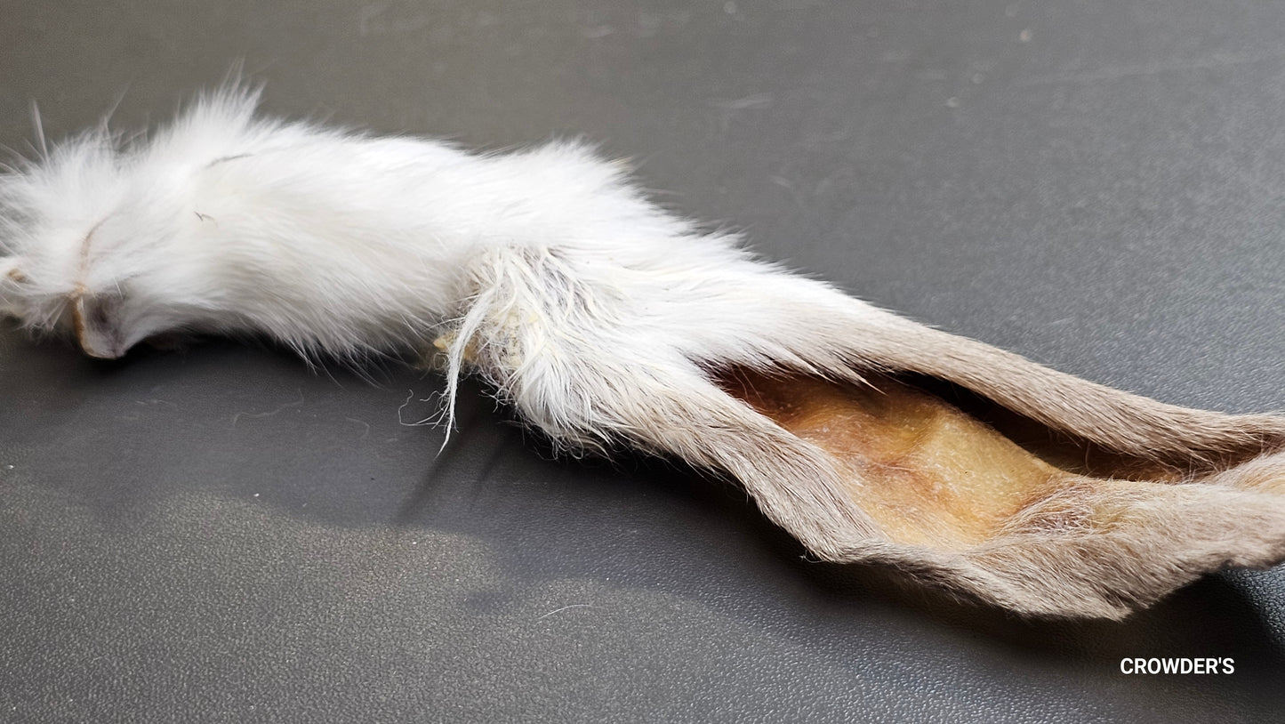HAIRY RABBIT EARS