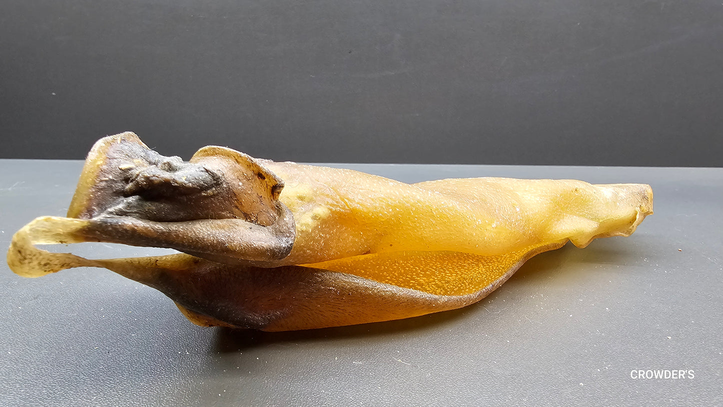 BUFFALO EAR