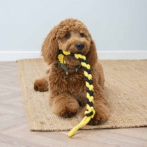 Playtime Bumble Bee Ropey Twist