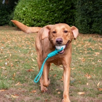 Chase Floating Ropey Ball Tug
