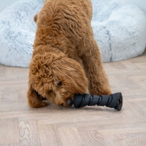 Tough Treat Dispenser