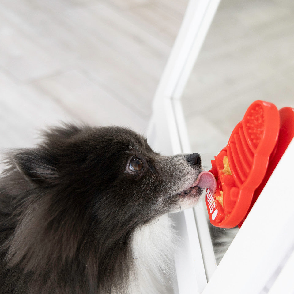 KONG LICKS