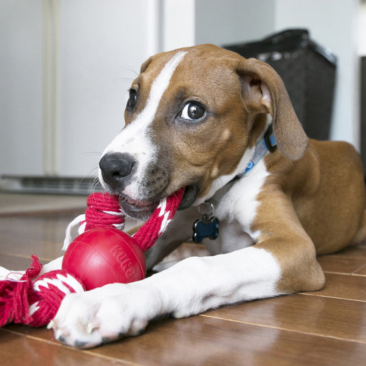 KONG Ball w/Rope