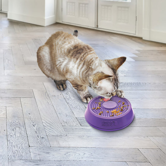 KONG LICKS SPINS FOR DOGS AND CATS