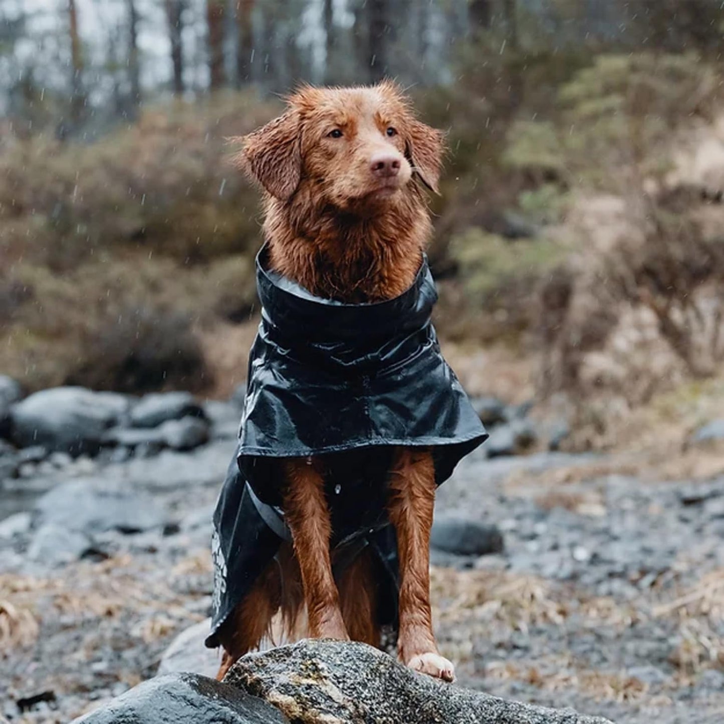 HURTA MONSOON COAT ECO