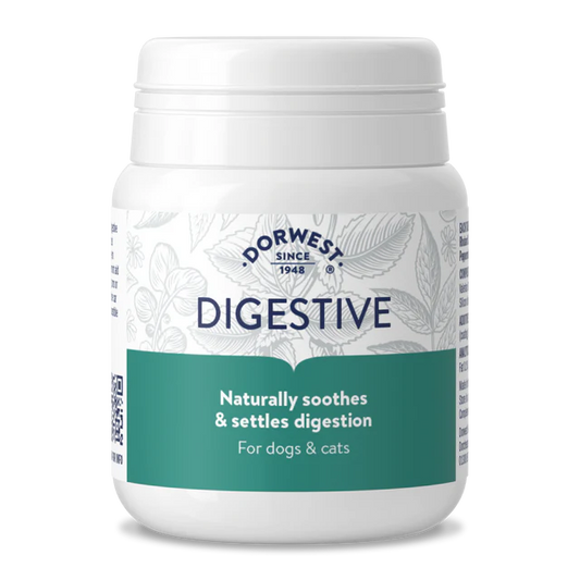 Digestive Tablets For Dogs And Cats