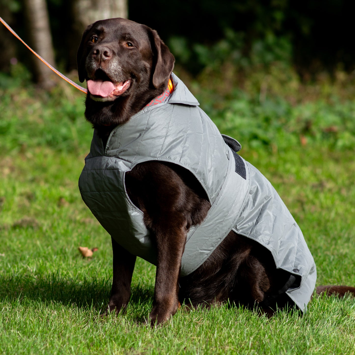 ANCOL MUDDY PAWS ULTIMATE REFLECTIVE DOG COAT