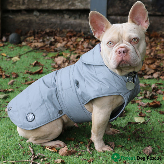 ANCOL MUDDY PAWS ULTIMATE REFLECTIVE DOG COAT