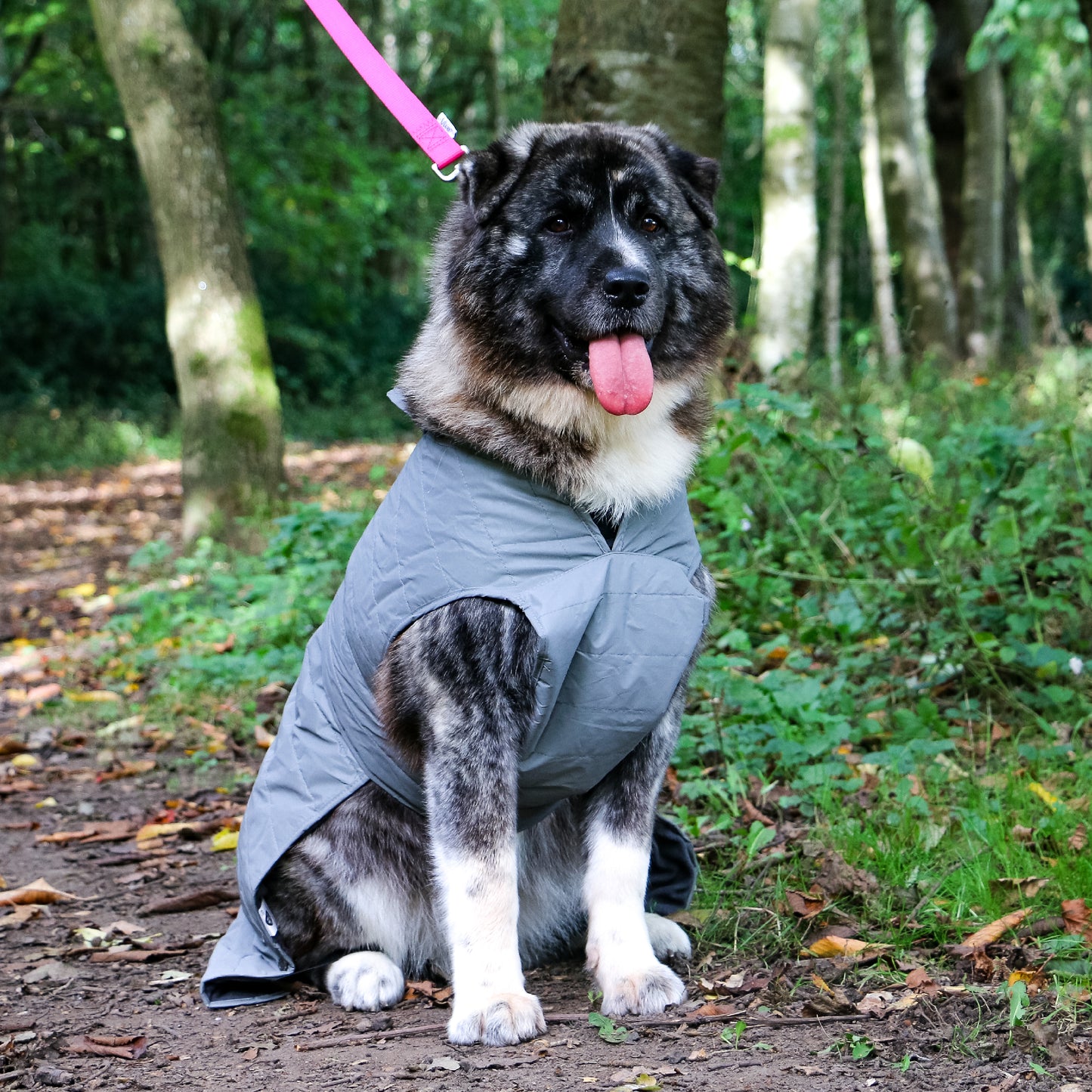 ANCOL MUDDY PAWS ULTIMATE REFLECTIVE DOG COAT