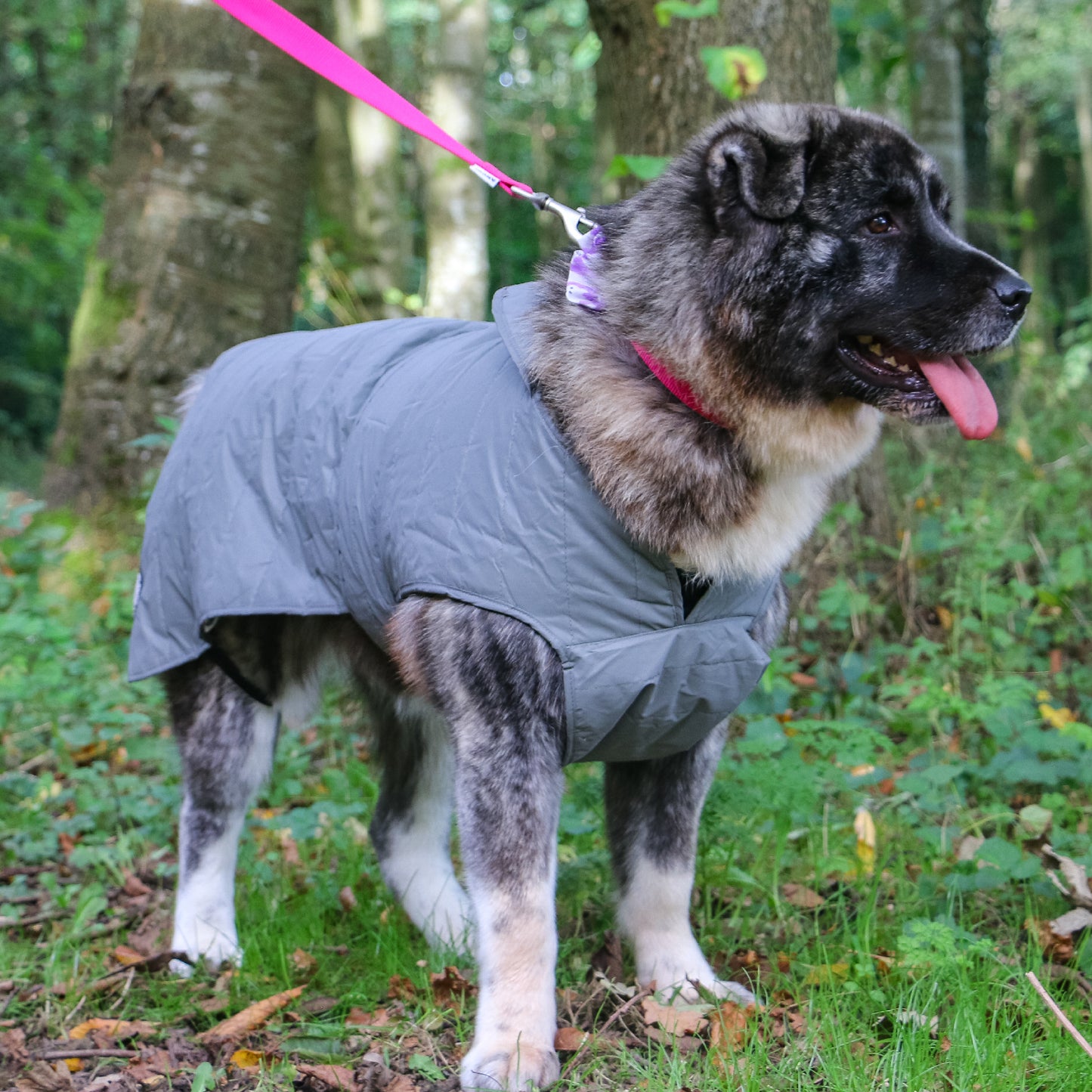 ANCOL MUDDY PAWS ULTIMATE REFLECTIVE DOG COAT