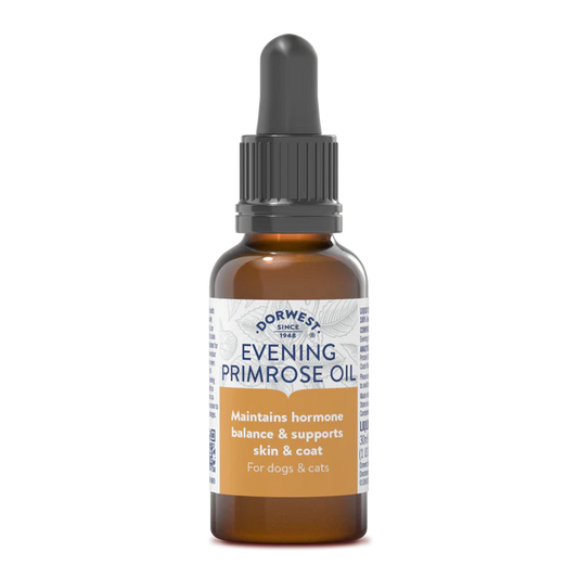 Evening Primrose Oil Liquid For Dogs And Cats